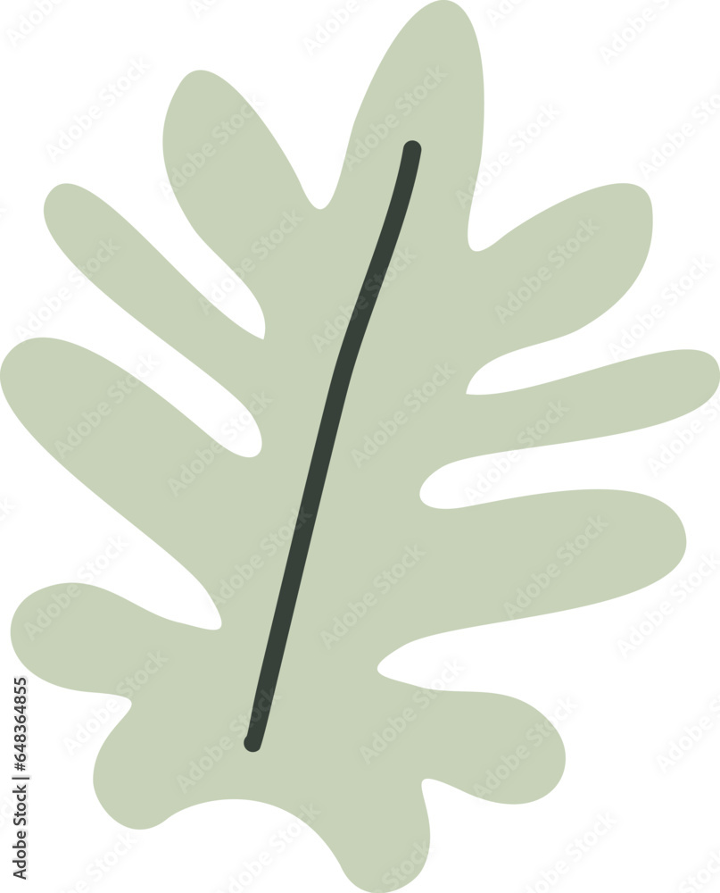 Obraz premium Algae plan aesthetic recolorable vector element