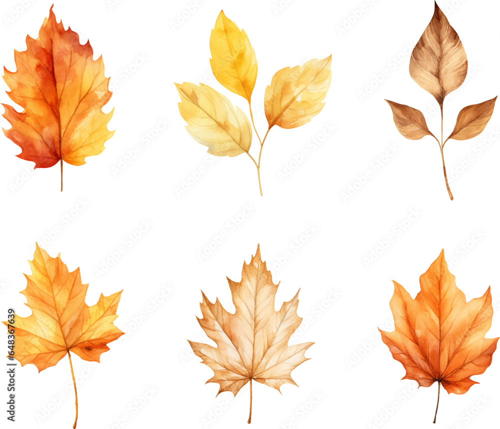 autumn leaves watercolor set, Set of autumn maple leaves