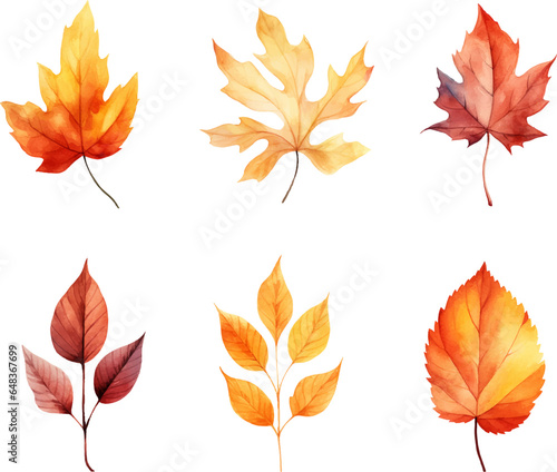autumn leaves watercolor set, Set of autumn maple leaves
