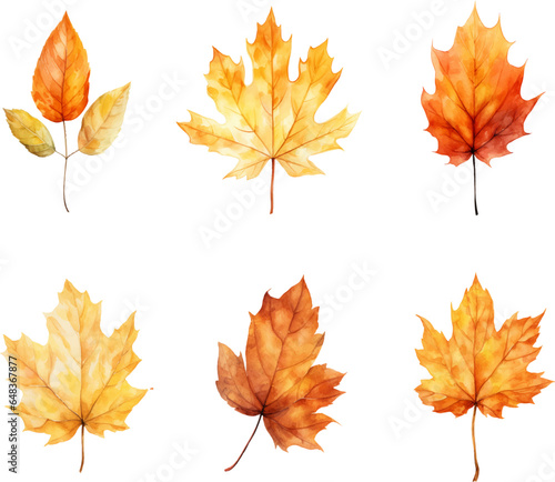 Autumn leaves watercolor set, Set of autumn maple leaves