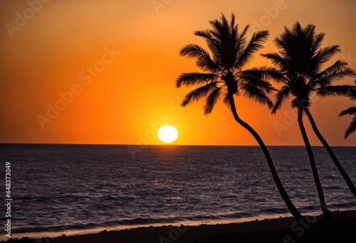 A sunset over the ocean with palm trees silhouetted against the sky