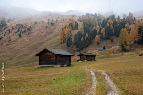 Autumn landscape in the valley. wooden log cabin . Yellow trees. Fall season