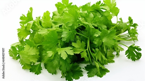 a vibrant parsley plant  with bright green  curly leaves that serve as a versatile garnish and flavor enhancer