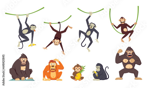 gorilla monkey set. cartoon funny tropical neanderthal exotic primates, funny apes in jungle, brutal chimpanzee charcters. vector cartoon animals set. photo