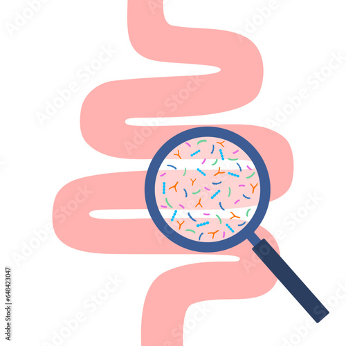 Human intestine and magnifier. Gut microbiome concept. Gut bacteria.