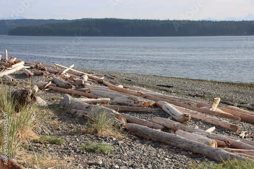 Driftwood on the shore at Campbell River  British Columbia  Canada.