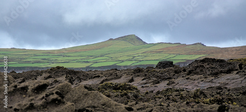 Pointed brown rocks with fresh sea grass against a background of rectangular fields and village houses on the slope of a wide, pointed mountain peak. Dingle Peninsula, County Kerry, Ireland