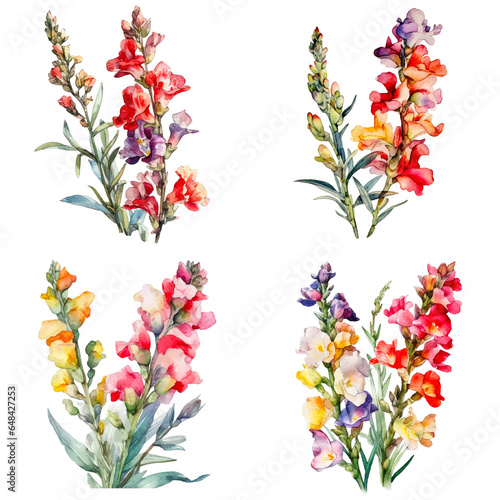 Set of watercolor snapdragon flower isolated on white background photo