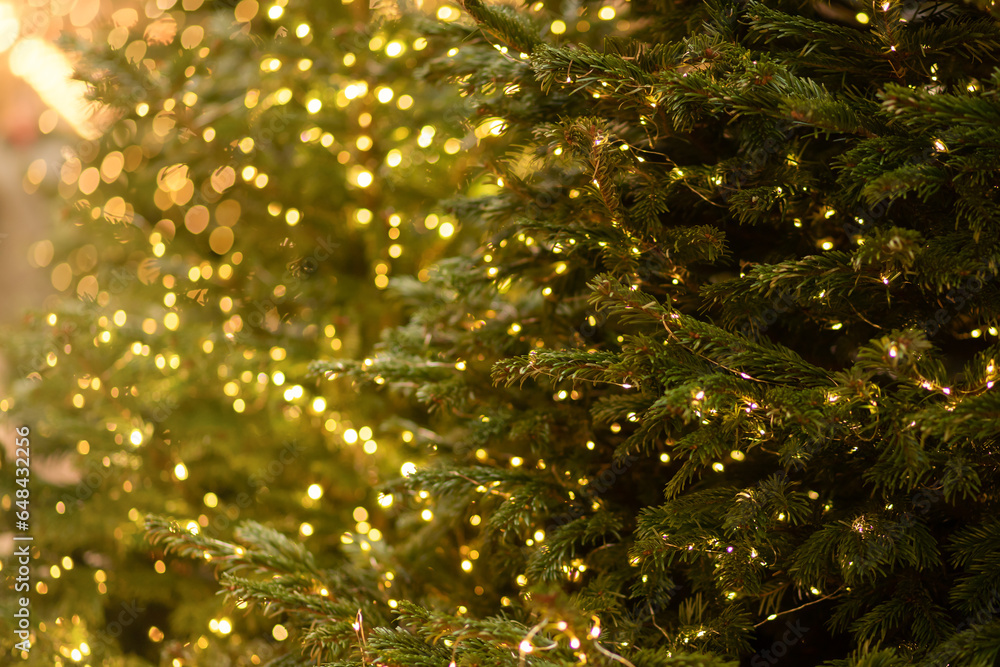 christmas tree with golden magic light bokeh, new year green spruce with bright light illumination