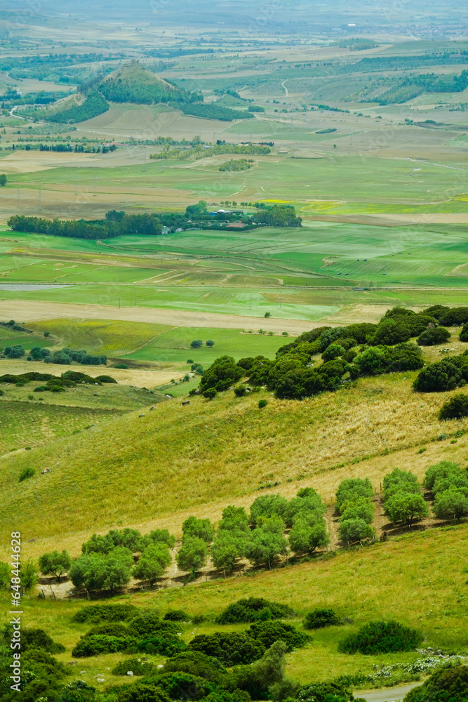 Parco regionale Piane di Gesturi. Natura e vegetazione tipica. Sud Sardegna. Italy Parco regionale Piane di Gesturi. Natura e vegetazione tipica. Sud Sardegna. Italy