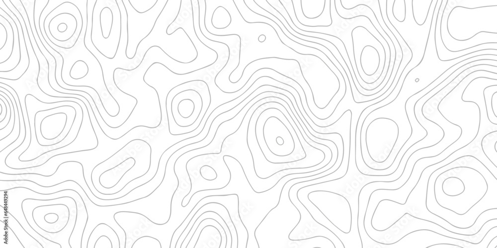 White wave paper curved reliefs abstract background. Topographic line contour map background. Topographic background monochrome abstract background. 