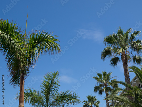 Die Kanareninsel Teneriffa