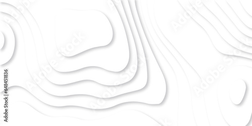 Abstract white paper cut background with lines. Background of the topographic map. White wave paper curved reliefs abstract background. Realistic papercut decoration textured with wavy layers.