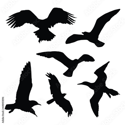 Flying Birds Silhouette, Group of flying birds silhouette