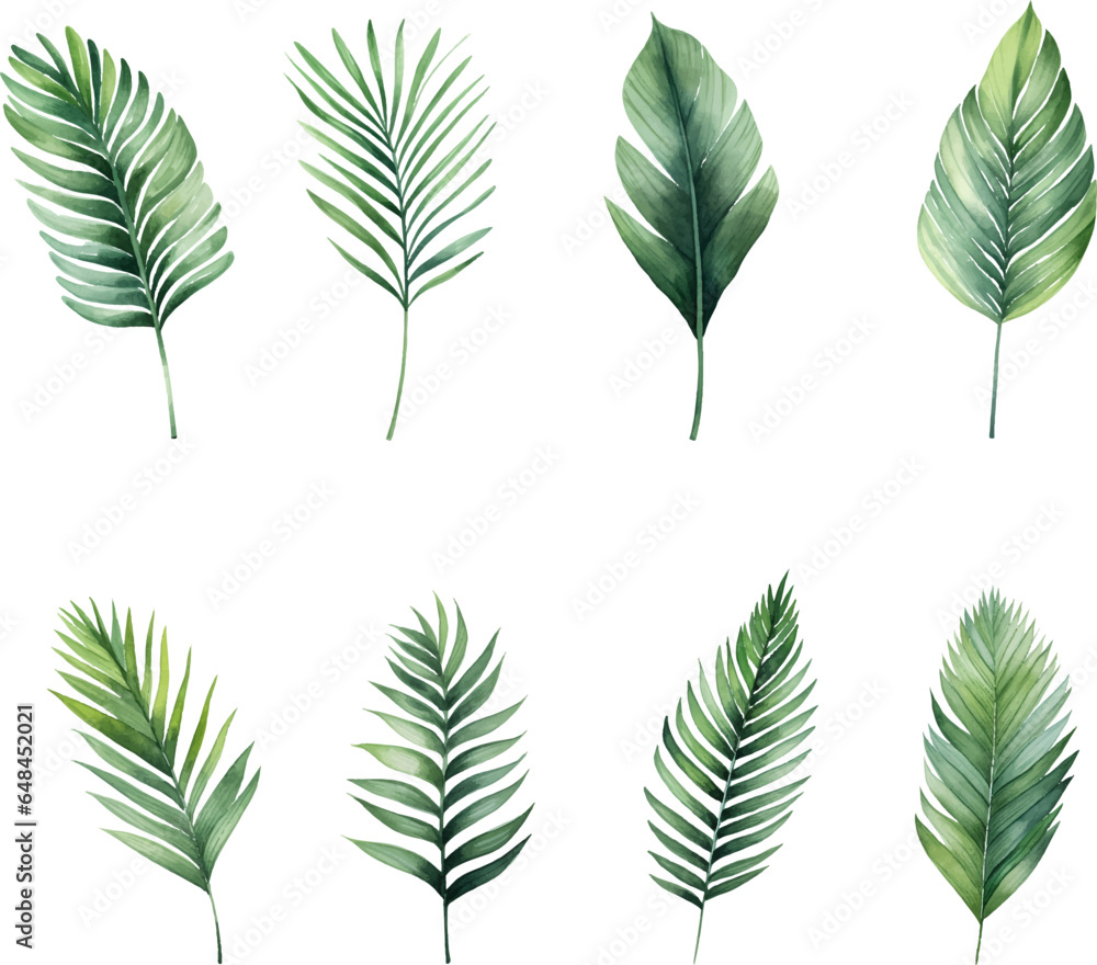 Obraz premium Set of tropical watercolor leaves isolated white background