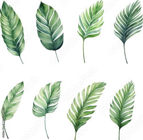 Set of tropical watercolor leaves isolated white background