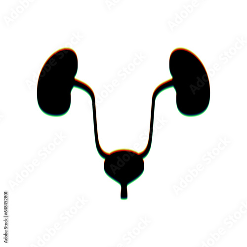 Urogenital system sign. Black Icon with vertical effect of color edge aberration at white background. Illustration.