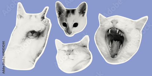 Cat in Halftone Effect. Punk collage made from elements. Cute cat, animal, pet from different angles, different poses, funny. Vector illustration. Retro style, vintage, magazine clippings