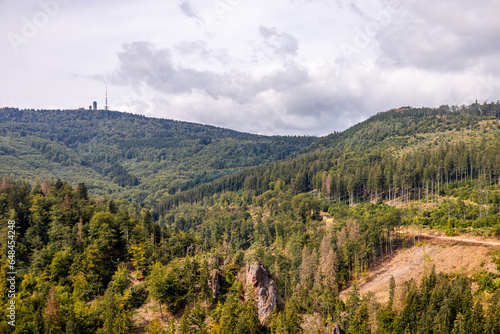 Sommerwanderung auf dem Höhenweg des Thüringer Waldes bei Bad Tabarz - Thüringen - Deutschland