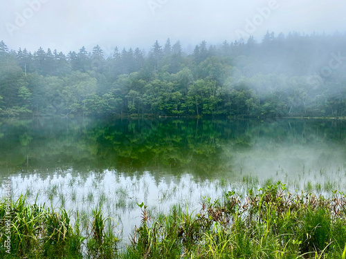 霧の万計沼, 札幌 空沼岳 Bankei Swamp in the fog, Mt.Soranuma Sapporo 