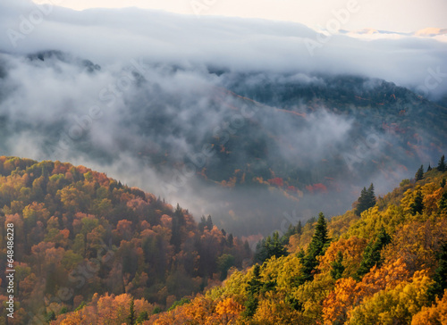 Autumn landscape with colorful forest and fog in the mountains. Carpathians, Ukraine. Generative AI