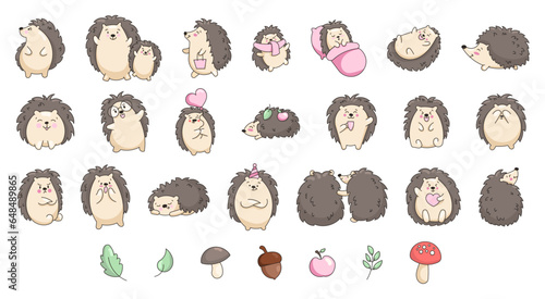 Cute hedgehog character. Happy forest animal. Vector drawing. Collection of design elements.