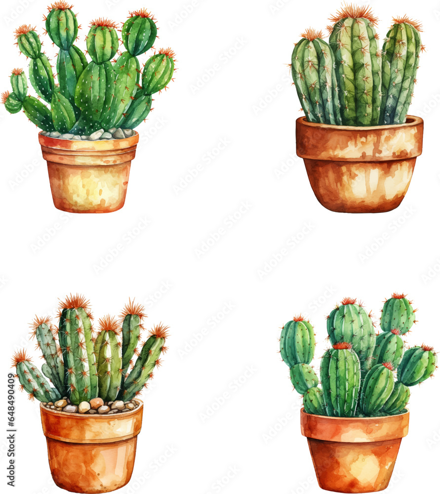 Watercolor illustration set cactus in flower pots Watercolor illustration set cactus in flower pots