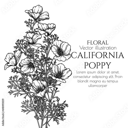 Vector illustration of a bouquet of California poppies in engraving style