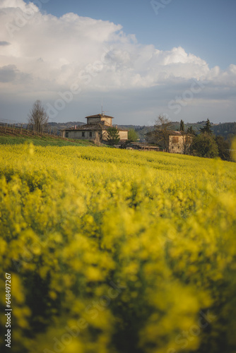 Tuscan Cottage and a Beautiful Field of Yellow Flowers