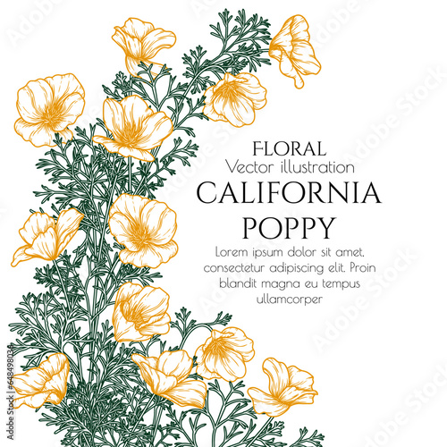 Vector frame of California poppies in engraving style