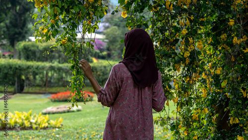 Muslim woman is looking at yellow flowers in the botanical garden at Peradeniya Sri Lanka.