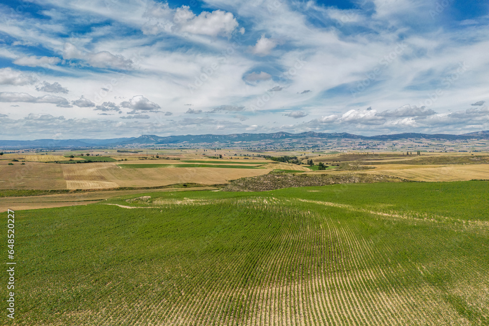 Fototapeta premium green field with mountain view