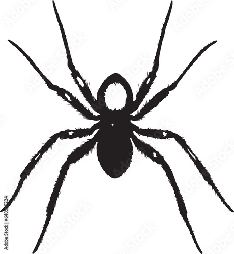 Vector illustration of black spider isolated on white background traditional Halloween decorative element Halloween silhouettes  © Tayyaba