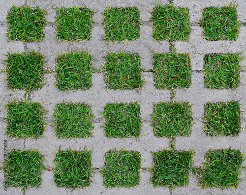 Concrete and grass pattern (detail) on public square floor