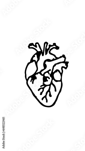 corazón vector 