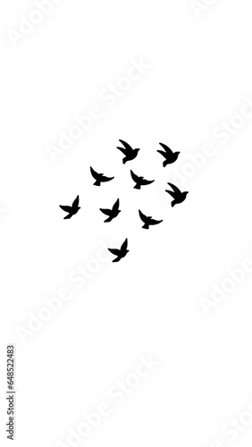 siluetas aves volando vector