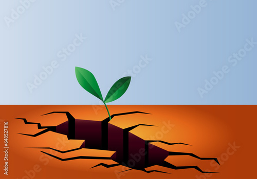 Un brote verde creciendo de la tierra seca y agrietada. Esperanza. Cambio climático. Sequía. Medio ambiente. Ecología