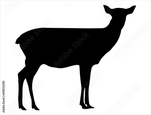 Doe silhouette vector art white background