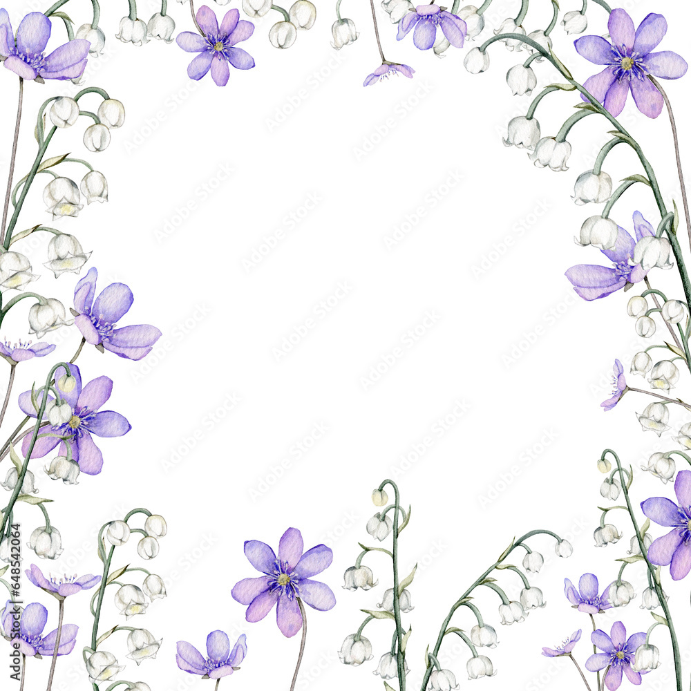 Frame watercolor spring flowers. Coppice, hepatica - first spring flowers. Spring lily of the valley Illustration of delicate lilac flowers. Hand drawn texture with white and violet flowers