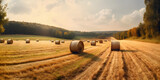 freshly harvested field of golden hay three generative AI