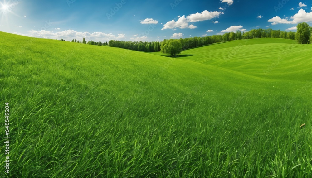 Obraz premium Spring summer background featuring beautiful panoramic natural landscape of green field with grass against blue sky with sun