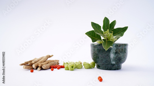 Root Withania somnifera, known commonly as ashwagandha, Indian ginseng, poison gooseberry or winter cherry