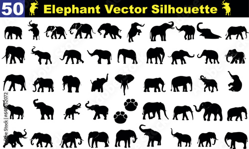 Elephant Vector Silhouette Collection: A diverse set of 50 black elephant silhouettes, showcasing various poses and angles. Perfect for wildlife, nature, and safari-themed designs.