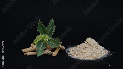 Ashwagandha Dry Root Medicinal Herb with Fresh Leaves, Poison Gooseberry, or Winter Cherry photo