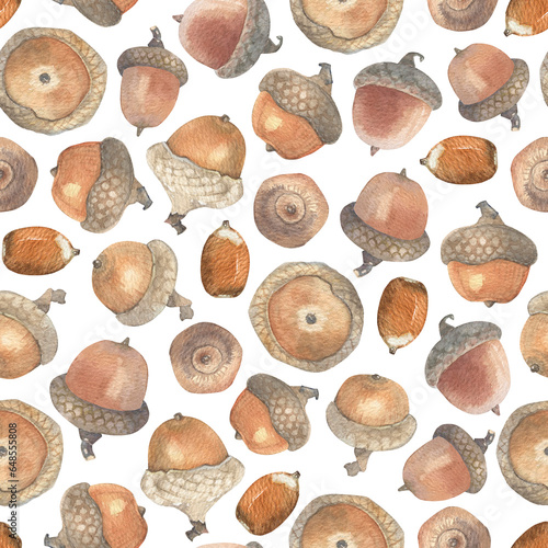 Seamless pattern with brown watercolor acorns. large and small. round acorns. acorns with hats. red oak. botanical illustration. variety of natural shades autumn gifts. hand drawn in watercolor