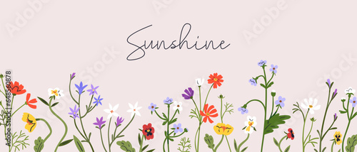 Spring flowers banner design. Floral background, nature card with gentle field and meadow plants, summer blooms, herbs, fragile wildflowers, leaves border decoration. Flat vector illustration