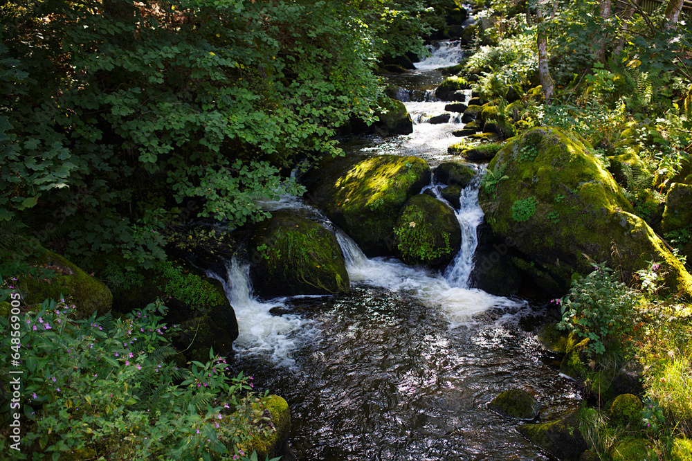 Beautiful Waterfall in the Black Forest in Triberg, Germany Beautiful Waterfall in the Black Forest in Triberg, Germany