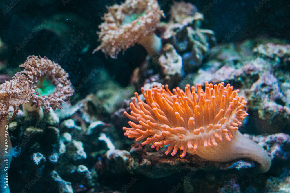 Underwater Underwater