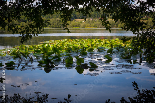 Fotografija View on Lagoon Sobrado in Sobrado dos Monxes, en route of the Camino Santiago