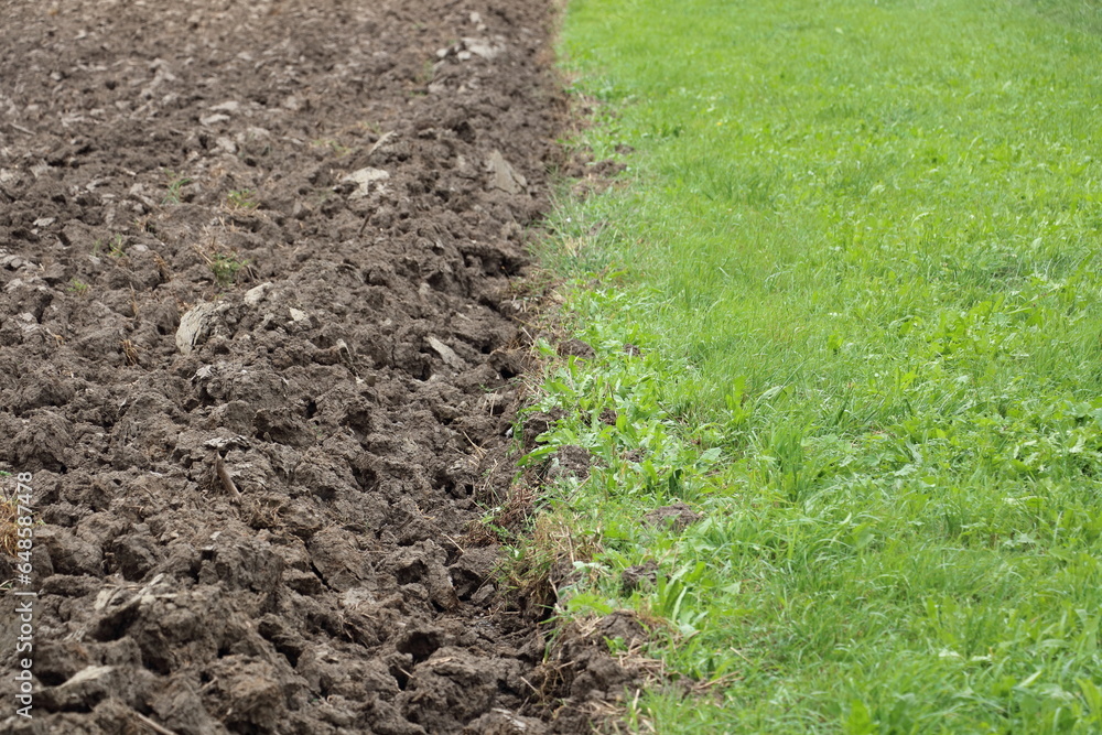 Boundary between ploughed acre and green grass Boundary between ploughed acre and green grass